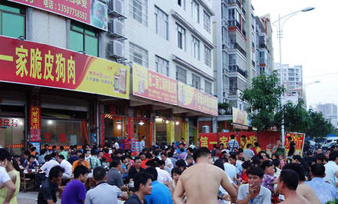 狗狗吃了驅(qū)蟲藥多久可以吃飯