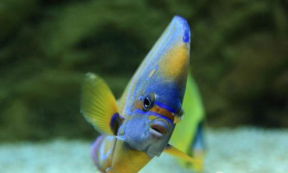 釣魚和氣壓有關(guān)嗎