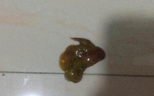 小狗有哪些玩具