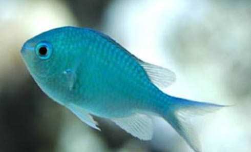 天氣熱好釣魚嗎