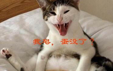 狗狗吃了雞骨頭多久才能確認沒事兒了