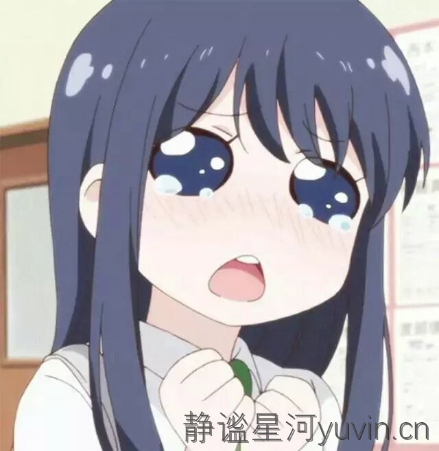 646463@qq.com