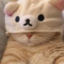 Q醬